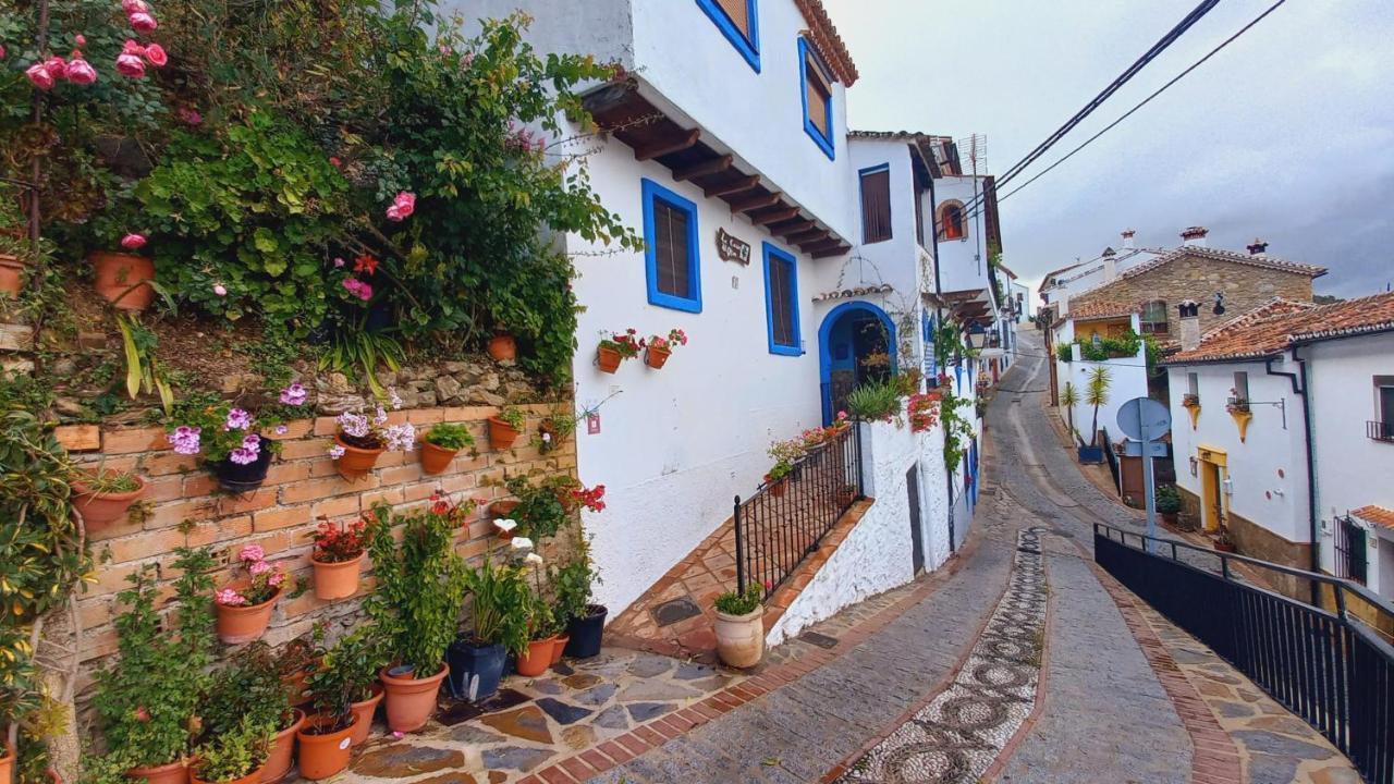 Benalauría Casa El Olivo By Casaturistica 빌라 외부 사진